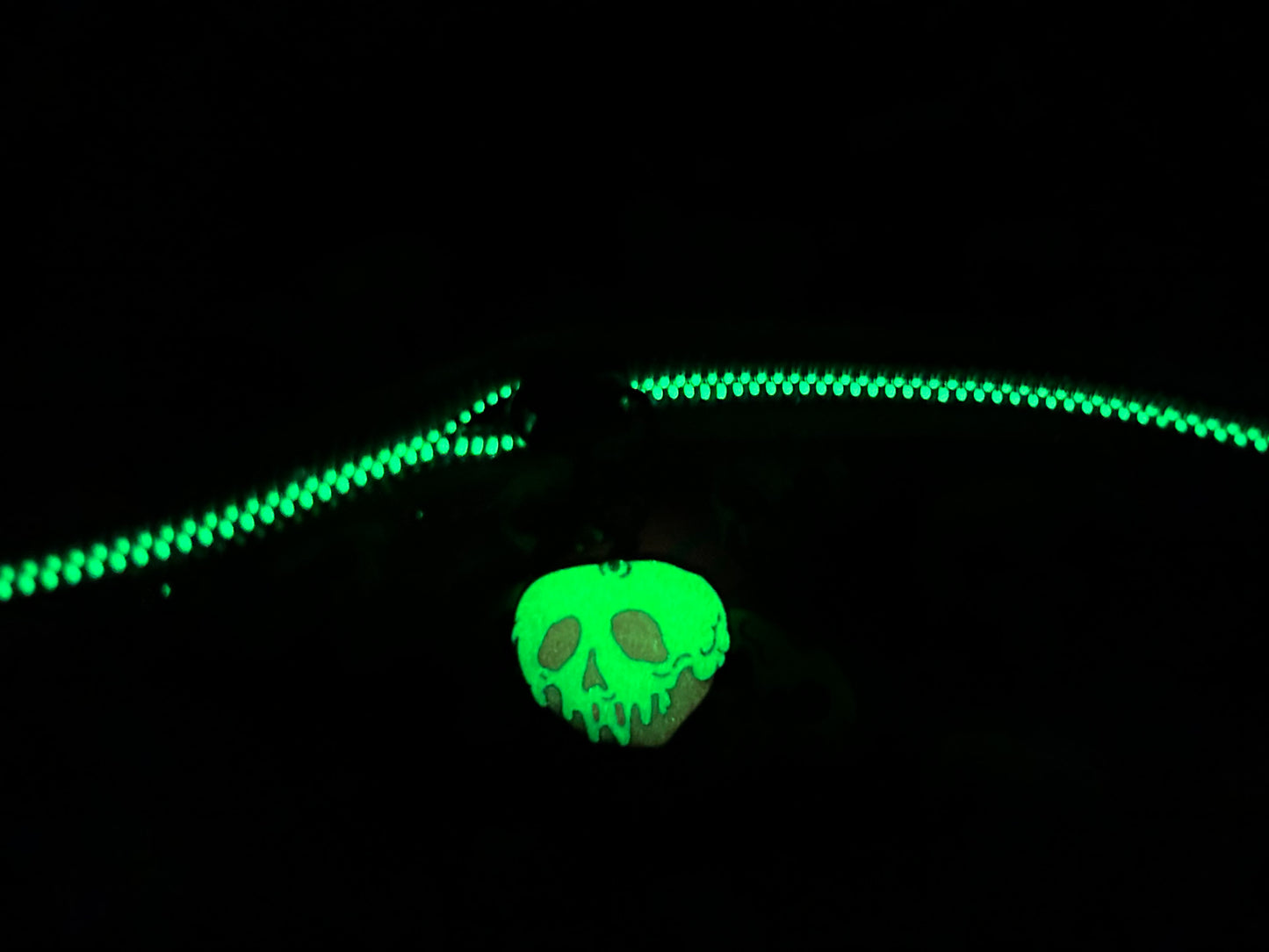 Poison Apple Themed Wallet